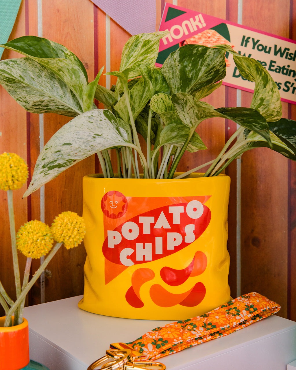 Potato Chips Vase