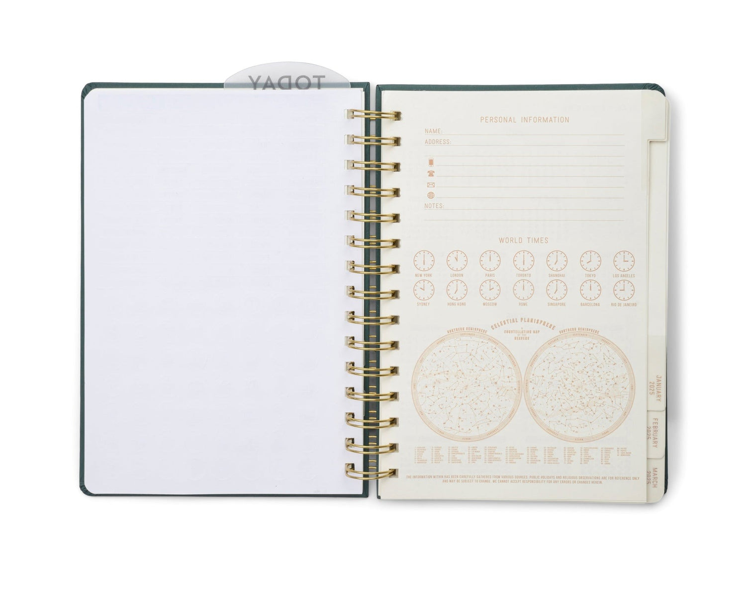 12 Month Planner Typographic 2025