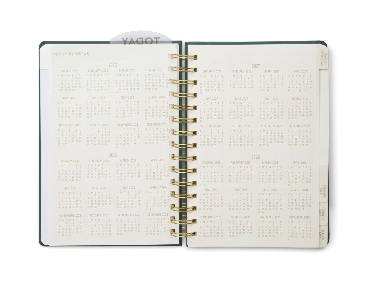 12 Month Planner Typographic 2025