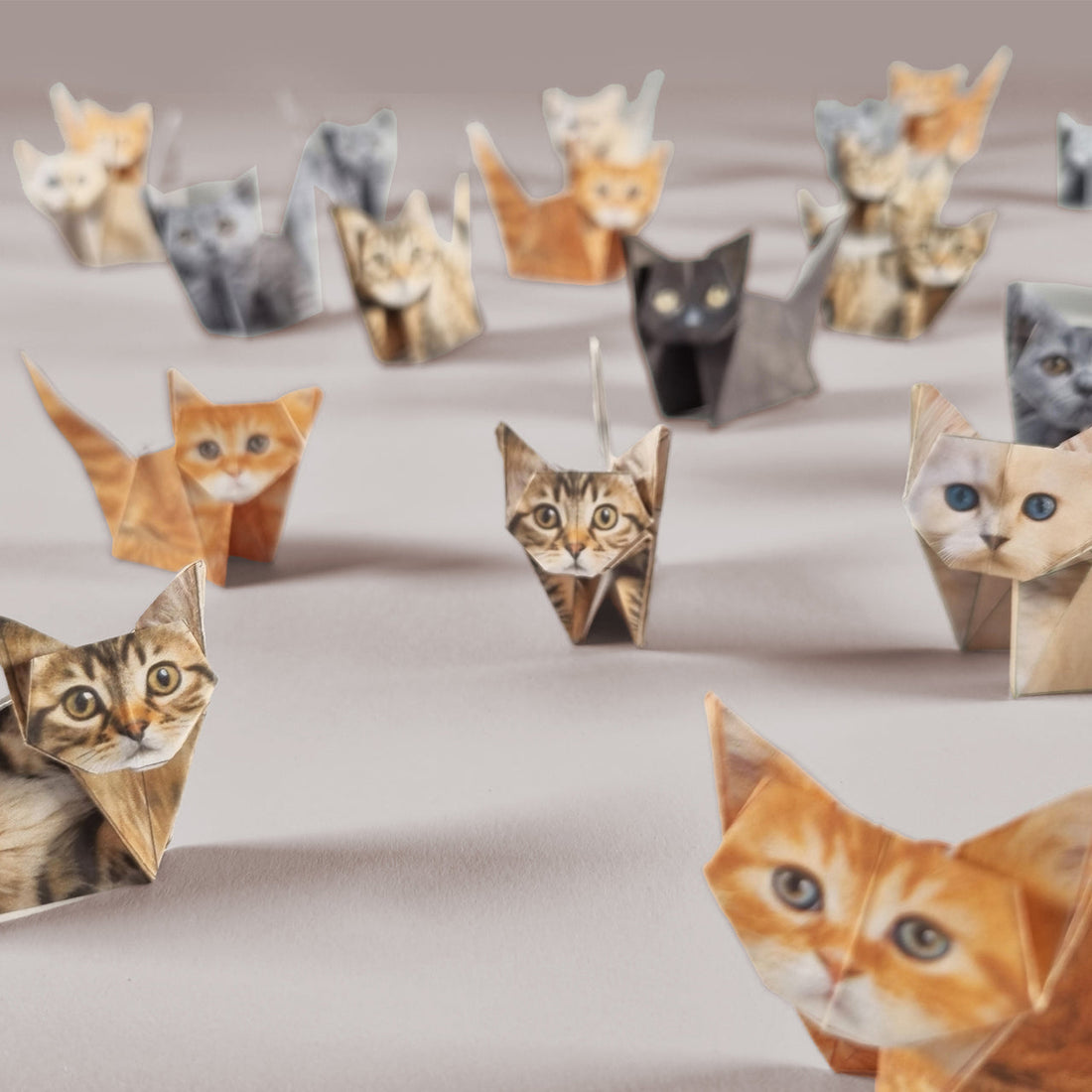 Paper Cats: 50 Origami Cats