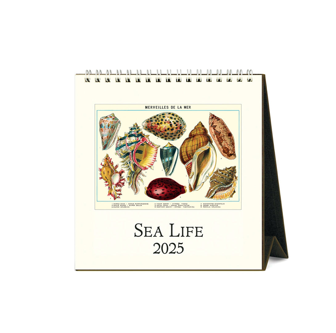 Sea Life Desk Calendar 2025