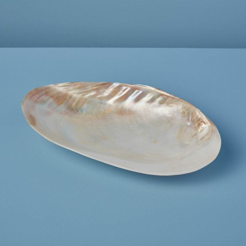 Seashell Plate