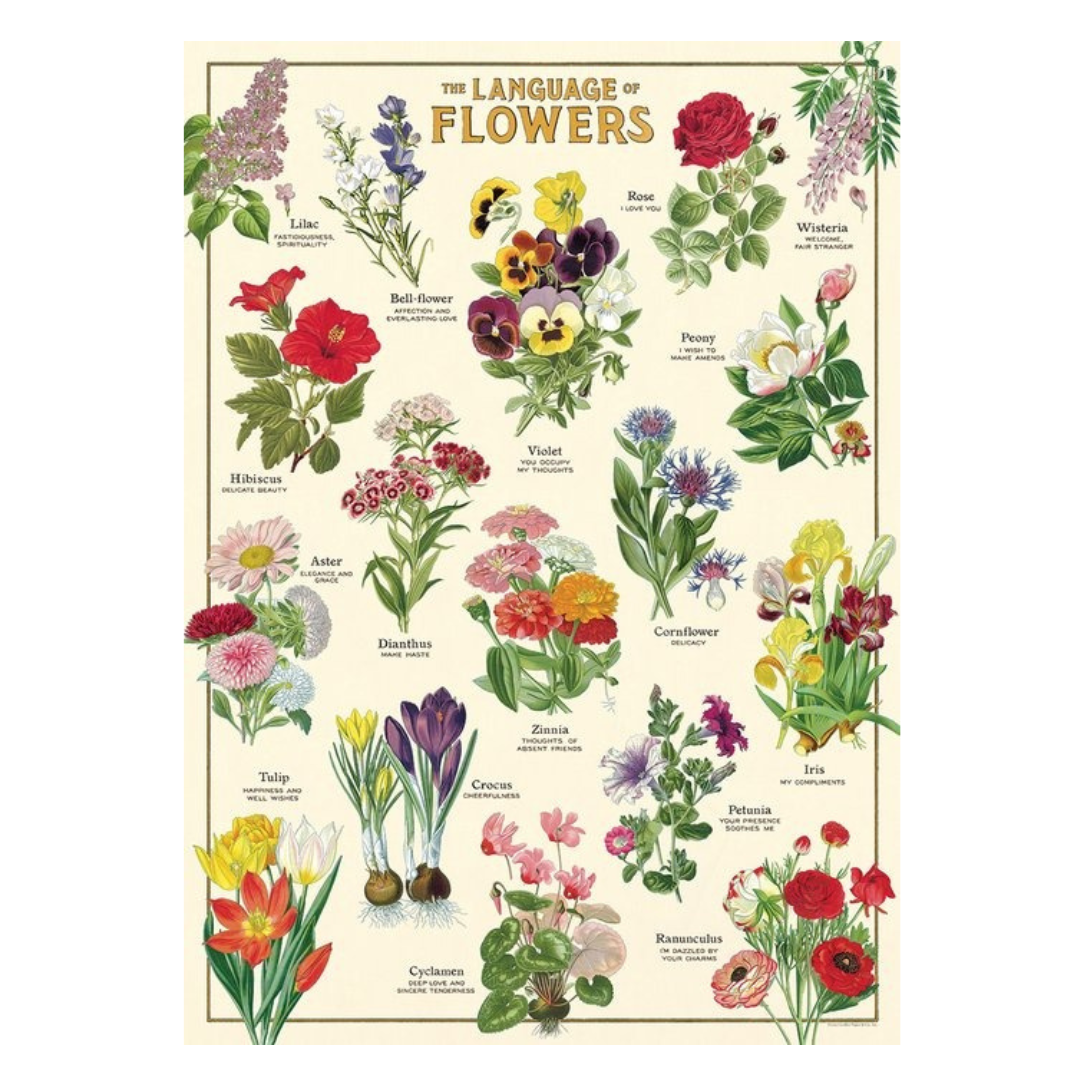 Language of Flowers Poster