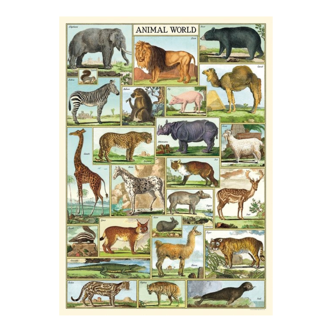 Animal World Poster