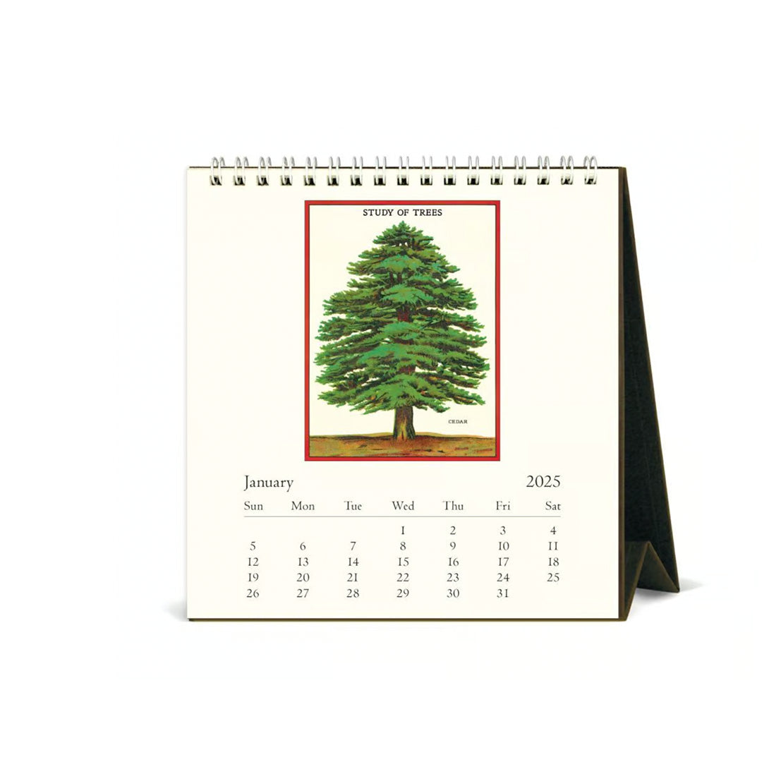 Arboretum Desk Calendar 2025