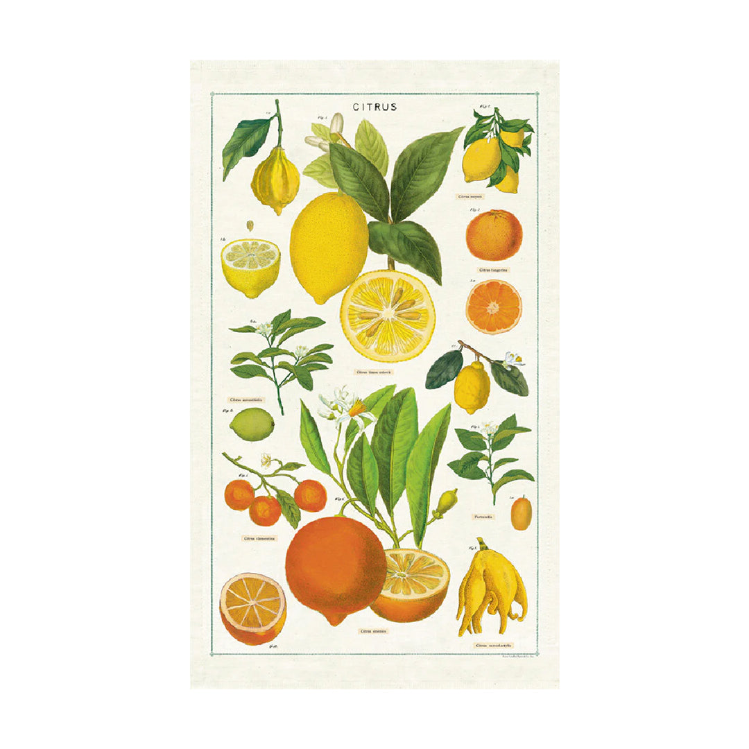 Citrus Vintage Tea Towels