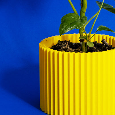 Yellow Acid 3D Plant Pot